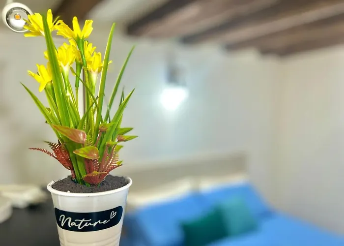 Zar - 2 Appartamento *